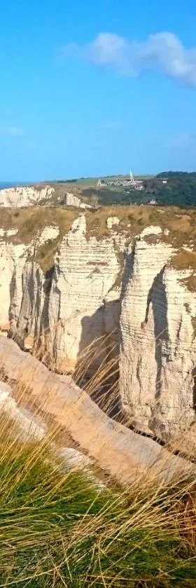 Chalet Nature à 10 minutes d'Etretat，位于Fongueusemare的酒店