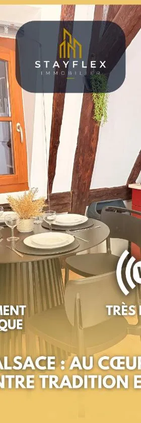Le Cocon Alsacien au cœur de Rouffach，位于鲁法克的酒店