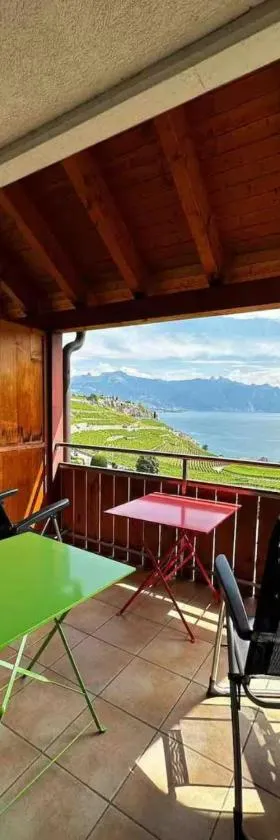 Lavaux nice place in Swiss French part，位于Rivaz的酒店