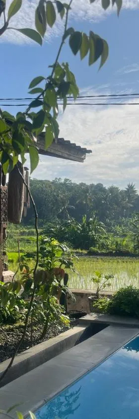 Villa Nextdoor Nature Yogyakarta，位于班图尔的酒店