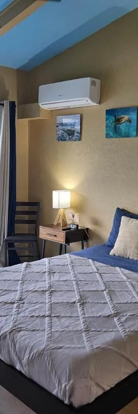 Yonegan Plumeria Hilo Hotel，位于希洛的酒店