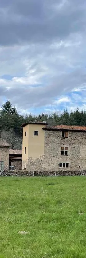 Château du Bouy，位于Champétières的酒店