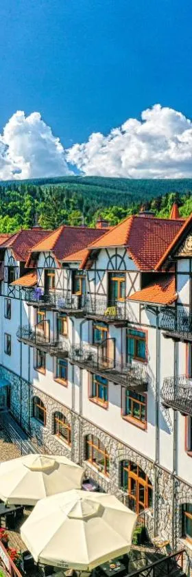 Hotel Buczyński Medical & SPA，位于希维拉杜夫-兹德鲁伊的酒店
