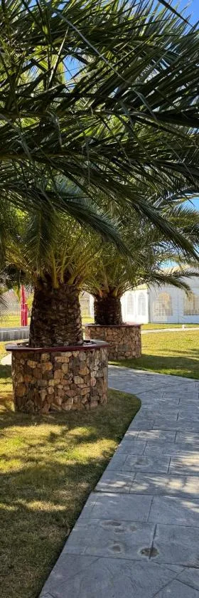 Hotel Tierra de Garnacha，位于博尔哈的酒店