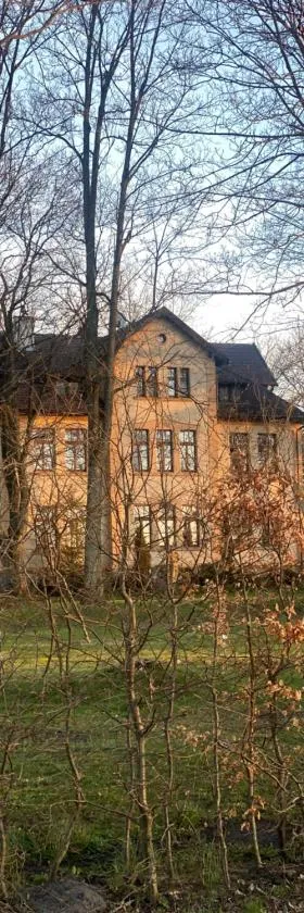 Pałac Poraj，位于Wicko的酒店