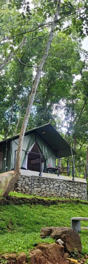 Trickling Stream Campsite，位于Alawala的酒店