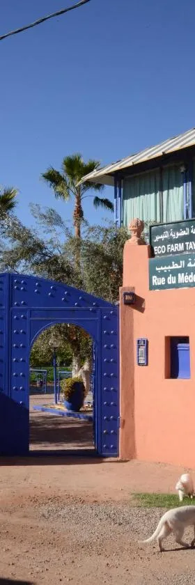 Eco Farm Tayssir Marrakech，位于马拉喀什的酒店