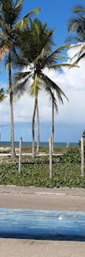 Patipe Praia Hotel，位于卡纳维埃拉斯的酒店