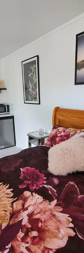 Tranquil Guest Suite New Plymouth，位于新普利茅斯的酒店