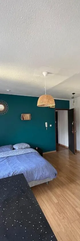 TORINO - Appartement cozy，位于萨尔堡的酒店