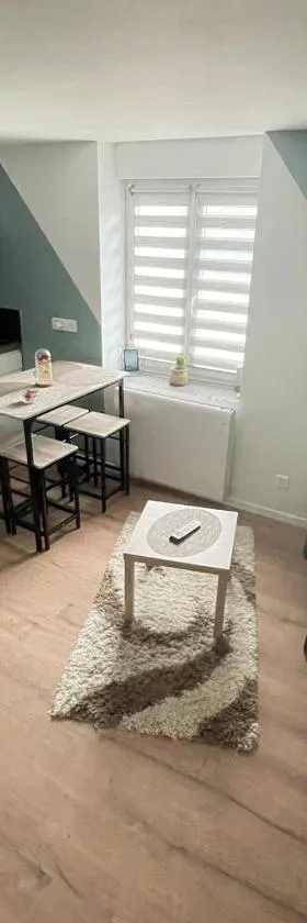 Sublime studio en face de la Moselle，位于Chavelot的酒店