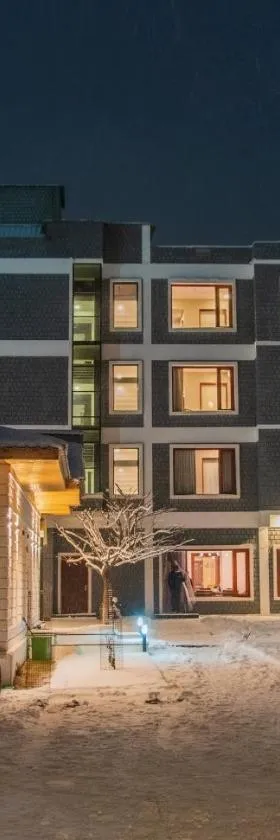 Hotel The Kargil，位于卡尔吉尔的酒店