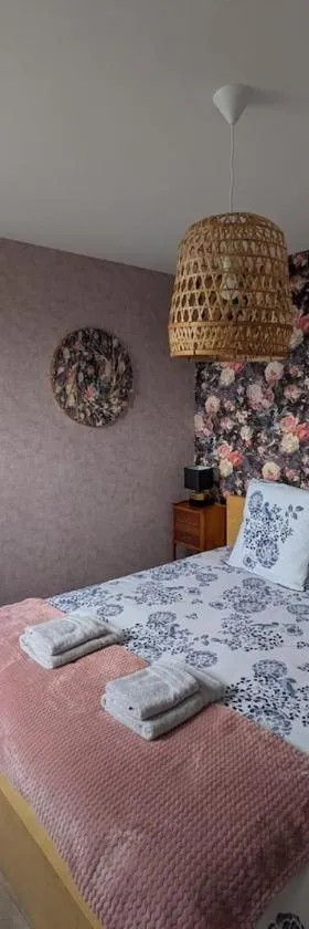 L'INSTANT ROSE Appartement entier tout confort et moderne Hyper centre d'ERNÉE，位于Ernée的酒店