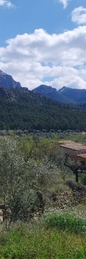 Mas de Manresa，位于奥尔塔-德圣胡安的酒店