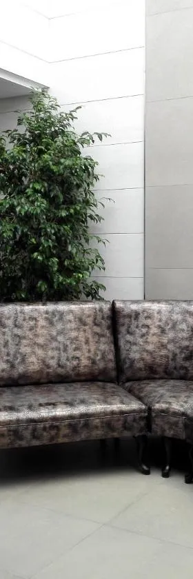 Apartamentos Las Palmeras，位于帕尔马德尔里奥的酒店