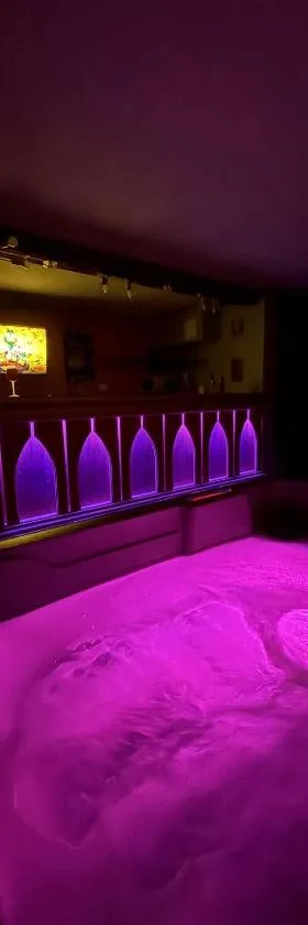 Le Savoyard - Bar & Jacuzzi，位于贝勒沃的酒店