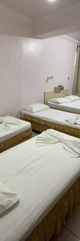 Oasis Chartouni Hotel，位于布卢梅瑙的酒店