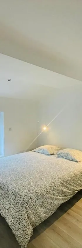 Éclat St Romain n4, duplex - moderne - WIFI - CLIM - proche Vienne，位于Saint-Romain-en-Gal的酒店