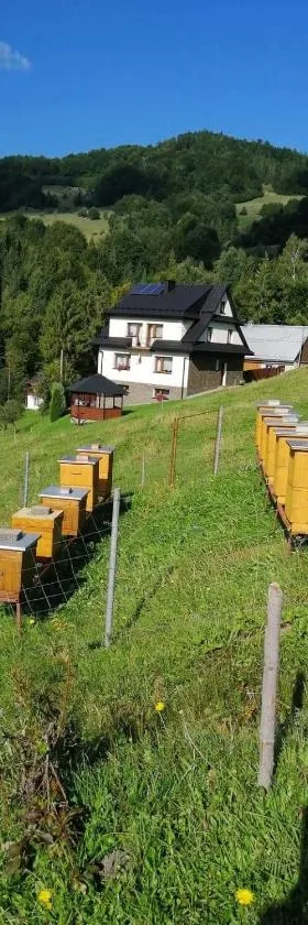 Agroturystyka Anna，位于奧考特尼查古尔纳的酒店