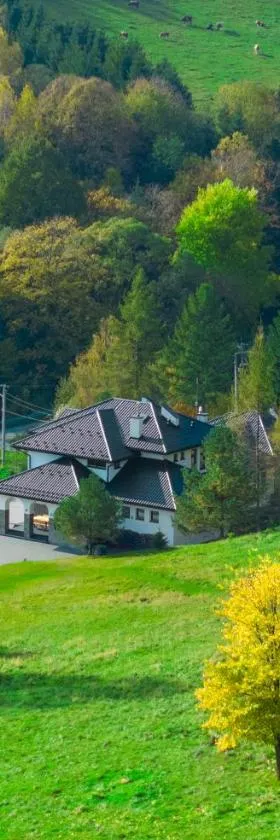 Honey Inn - Domek na 12 osób，位于Kamianna的酒店
