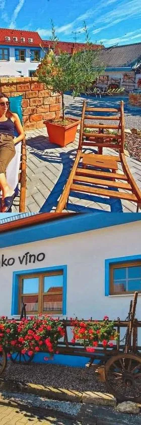 Penzion jako víno，位于布尔哈里的酒店