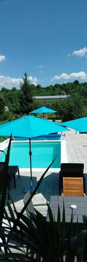 Olive garden house，位于彼得罗瓦拉丁的酒店
