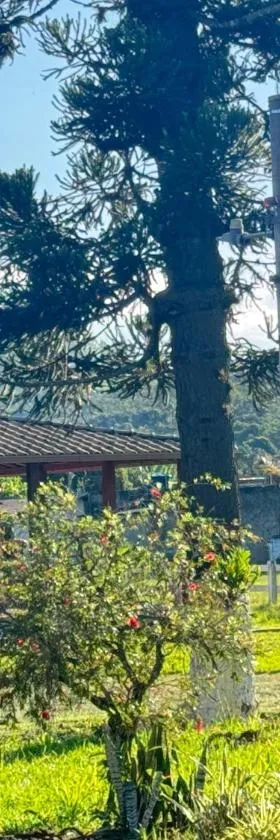 Pousada da Elizângela de Amarantina，位于欧鲁普雷图的酒店