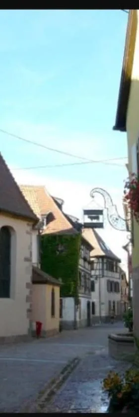 Appartement proche Colmar，位于Soultzbach-les-Bains的酒店