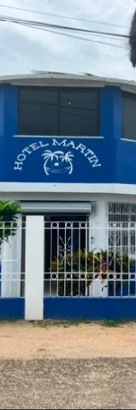 Hotel Martin，位于科罗萨尔的酒店