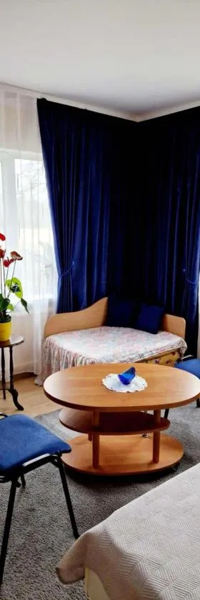 Kambarių nuoma prie Bridvaišio ežero，位于Tytuvėnai的酒店