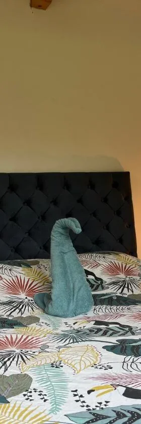 Le P’tit Bois Doré，位于布朗屈埃福尔的酒店