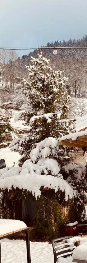 Auberge le bois du cornet，位于La Forclaz的酒店
