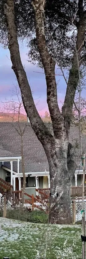 Sierra Mountain Lodge - Vacation Rentals - Yosemite，位于阿赫瓦尼的酒店