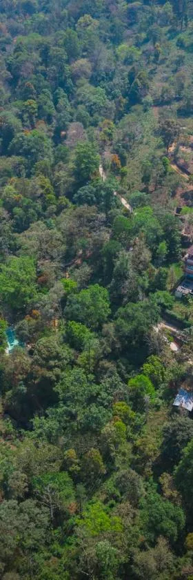 Flora Vythiri Resort Wayanad，位于维特利的酒店
