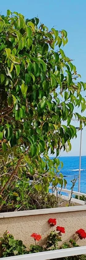 Entrecalas Cabo de Palos，位于帕洛斯角的酒店