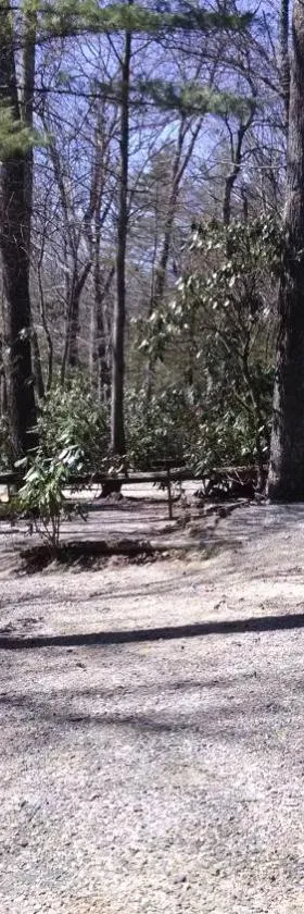 Linville Falls Campground, RV Park, and Cabins，位于Linville Falls的酒店