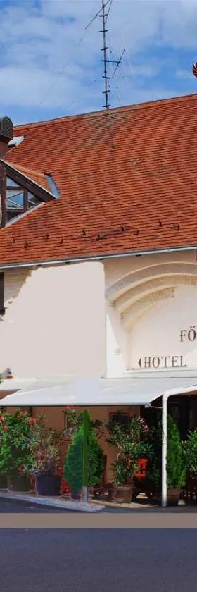 Hotel Főnix，位于佩奇的酒店