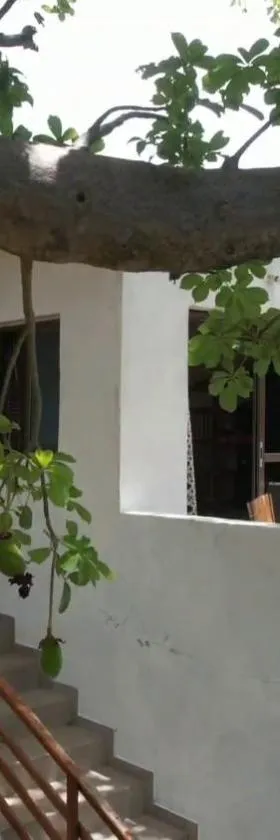 KASA BOUBAK avec cuisine extérieure à 50 M DE LA PLAGE，位于Kafountine的酒店