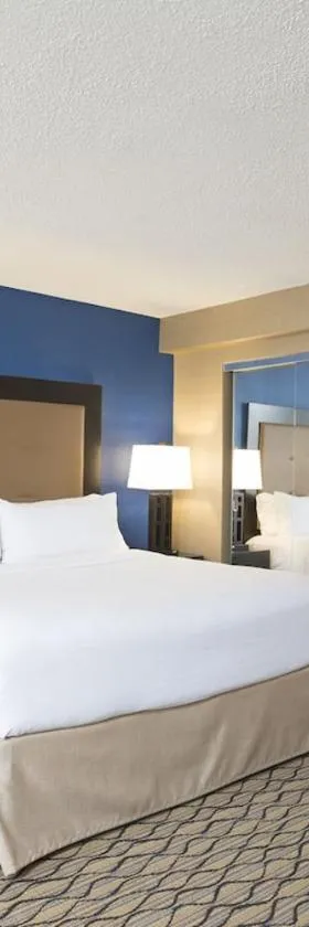 Grand Royal Hotel O'Hare Chicago，位于埃尔克格罗夫村的酒店