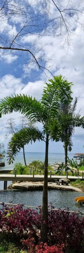 Cahaya Asah Resort Tioman Island，位于刁曼岛的酒店
