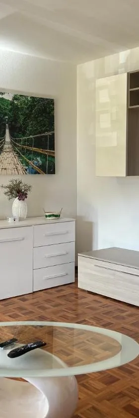 Melide lake apartment，位于梅利德的酒店