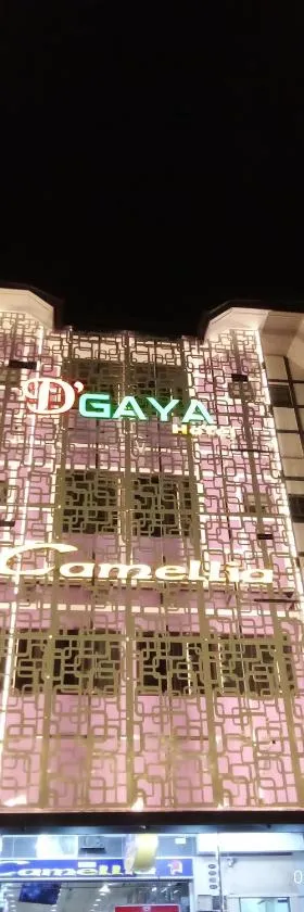 D GAYA HOTEL Cameron Highlands，位于丹那拉打的酒店