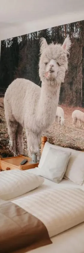 Alpakas, Lamas und Rentiere zum Grünen See，位于Grossdorf的酒店