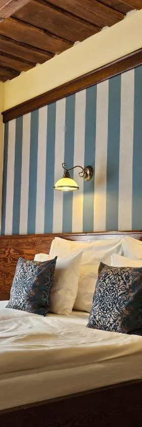 Hotel Galerie，位于拉贝河畔罗乌德尼采的酒店