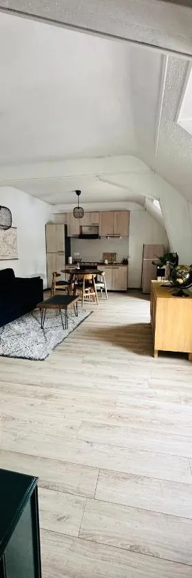 Appartement Centre ville Le blanc，位于勒布朗的酒店