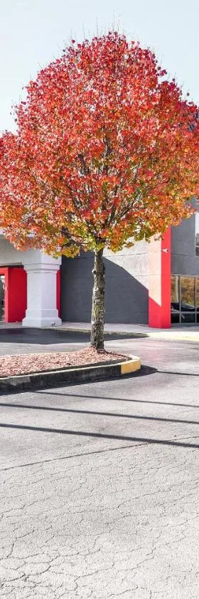 OYO Townhouse Inn Jacksonville near Little Rock Air Force Base，位于杰克逊维尔的酒店