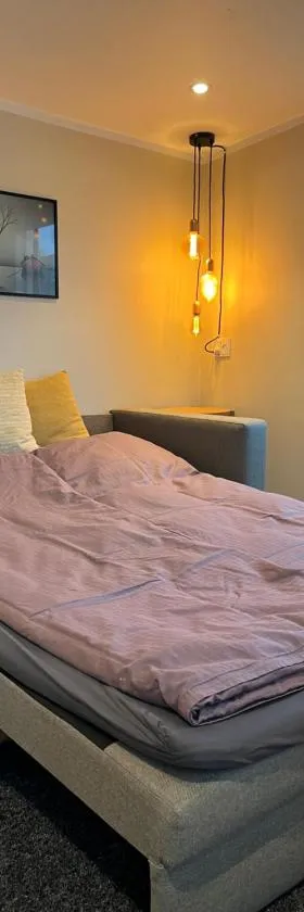 Cosy Guesthouse near Copenhagen，位于Rødovre的酒店