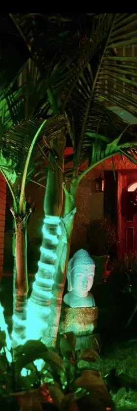 Tropical Retreat Close to Beach，位于格罗弗海滩的酒店