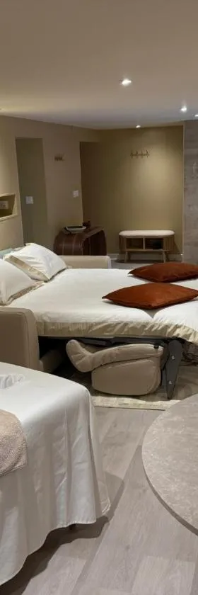 Spa Suite Loft，位于维希的酒店