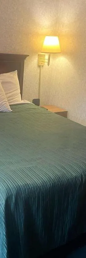 斯托尼布鲁克汽车旅馆&小屋酒店，位于法兰克尼亚的酒店
